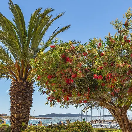 公寓 Les Rivages De Coudouliere-2 By Interhome