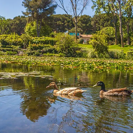 Les Rivages De Coudouliere-2 By Interhome Lejlighed